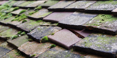 Drybrook roof repair costs